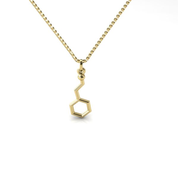 Gargantilha Pingente Molécula Química Fenetilamina Ouro 18k - Image 3