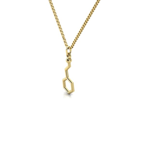 Gargantilha Pingente Molécula Química Fenetilamina Ouro 18k - Image 2