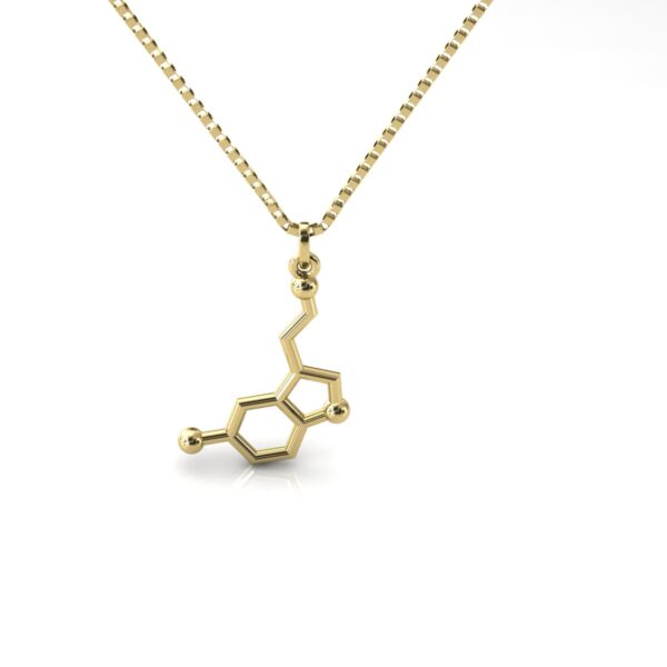 Gargantilha Pingente Molécula Química Serotonina Ouro 18k - Image 4