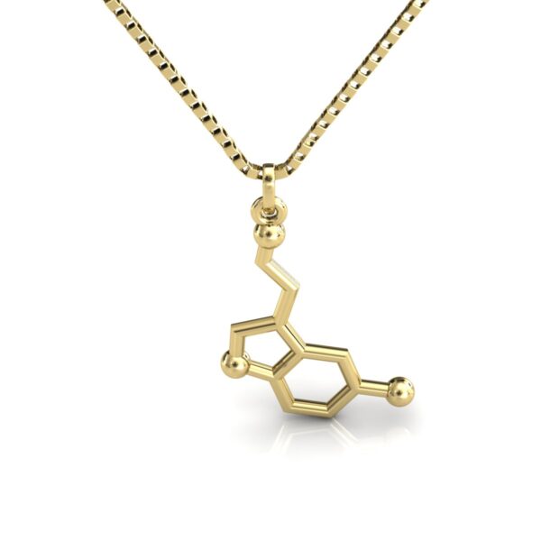 Gargantilha Pingente Molécula Química Serotonina Ouro 18k