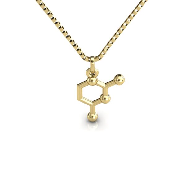 Gargantilha Pingente Molécula Química Citosina Ouro 18k