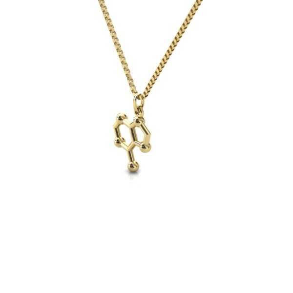 Gargantilha Pingente Molécula Química Adenina Ouro 18k - Image 3