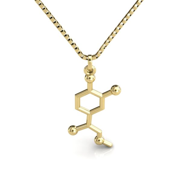 Gargantilha Pingente Molécula Química Adrenalina Ouro 18k